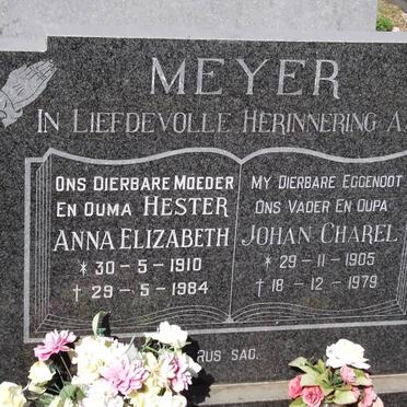 MEYER Surnames :: Vanne