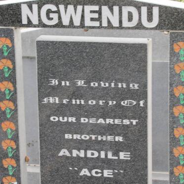 NGWENDU Andile 1975-2009