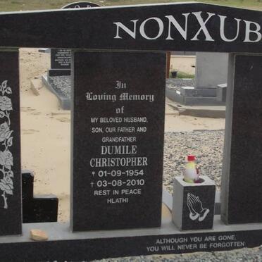 NONXUBA Dumile Christopher 1954-2010