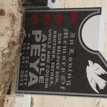 PEYA Andile 1971-2013