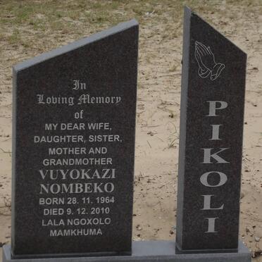 PIKOLI Vuyokazi Nombeko 1964-2010