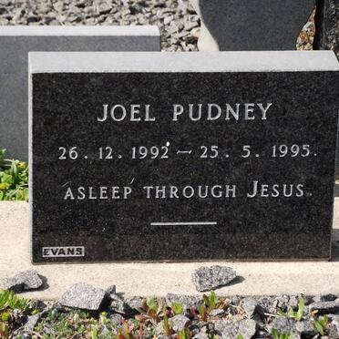 PUDNEY Joel 1992-1995