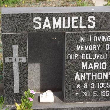 SAMUELS Mario Anthony 1955-1967