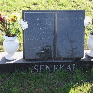 SENEKAL Piet Nicholaas 1919-1993