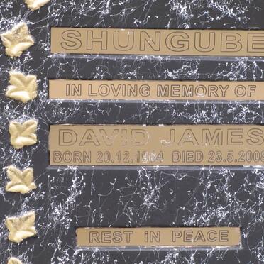 SHUNGUBE David James 1964-2008