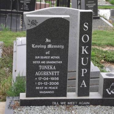 SOKUPA Toneka Aggrenett 1956-2006