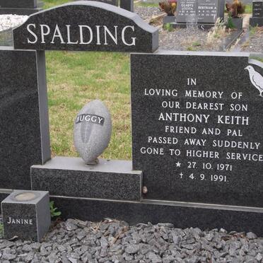 SPALDING Anthony Keith 1971-1991