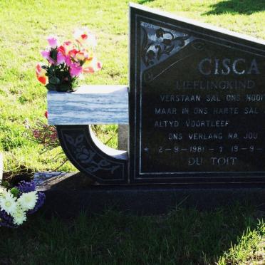 TOIT Cisca, du 1981-1994