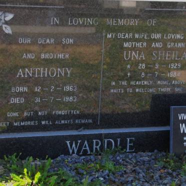 WARDLE