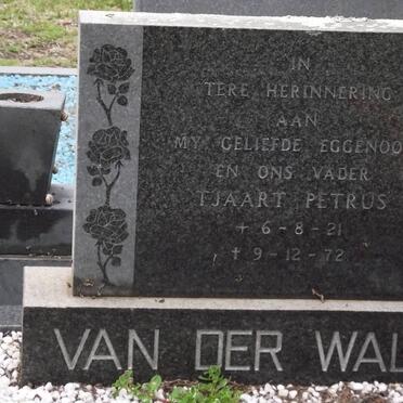 WALT Tjaart Petrus, van der 1921-1972
