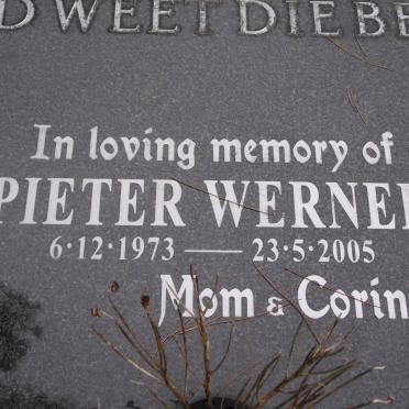 WERNER Pieter 1973-2005
