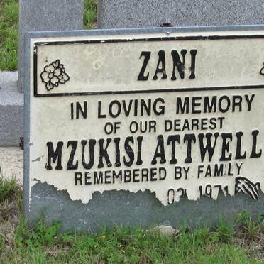 ZANI Mzukisi Attwell 1971-2004