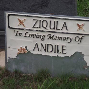 ZIQULA Andile