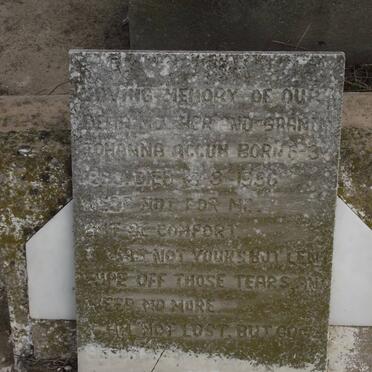 ACCUM Johanna 1893-1956