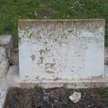 ADAMS Willie 1892-1957