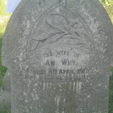 AH WHY -1917