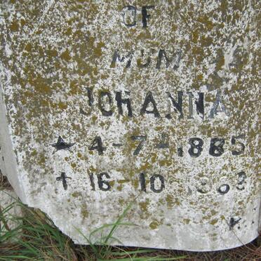 ALLISON Dick 1884-1929 &amp; Johanna 1885-1962