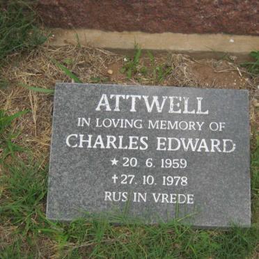 ATTWELL :: BRUWER