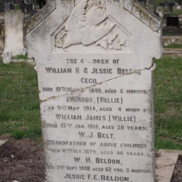 BELDON :: BELT