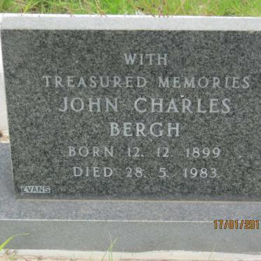 BERGH :: STARK
