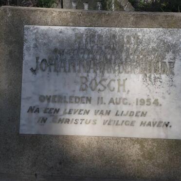 BOSCH Johanna Van Der Linde -1954