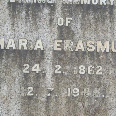 BOSCH :: ERASMUS :: MYNHARDT