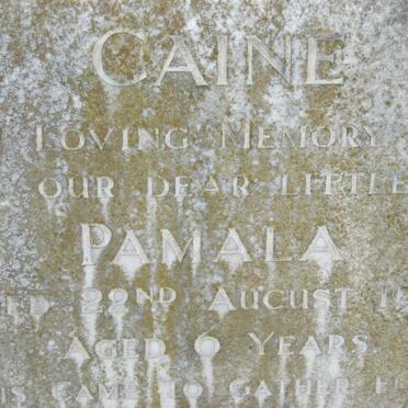 CAINE