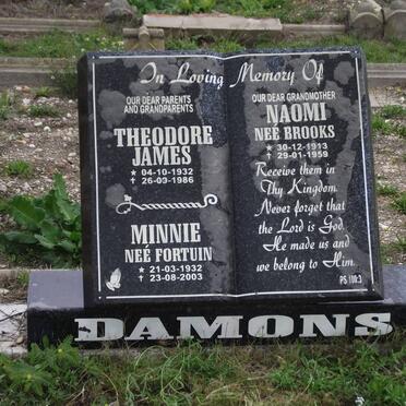 DAMONS :: FORTUIN :: BROOKS