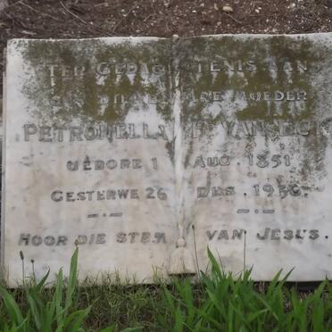 ECK Petronella F., van 1851-1936