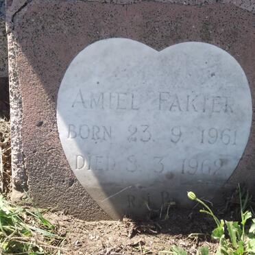 FAKIER Amiel 1961-1962