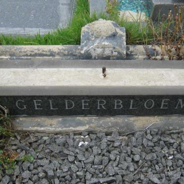GELDERBLOEM