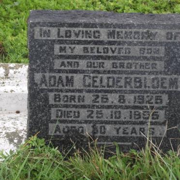 GELDERBLOEM Adam 1925-1955