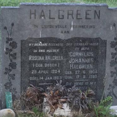 HALGREEN Cornelius Johannes 1904-1989 &amp; Roseina BOSCH 1904-1963