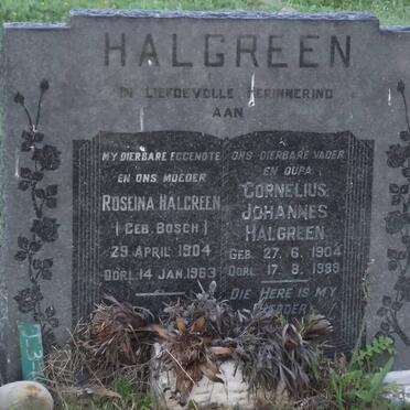 HALGREEN Cornelius Johannes 1904-1989 &amp; Roseina BOSCH 1904-1963