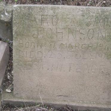 JOHNSON Carol Joan 1946-1965