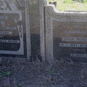 MARX David Hercules 1893-1973 &amp; Rode Blanche MEW -1952