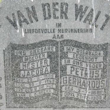 MANEFELDT :: WALT, van der