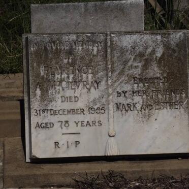 Mc GILVRAY Florence A. 1955