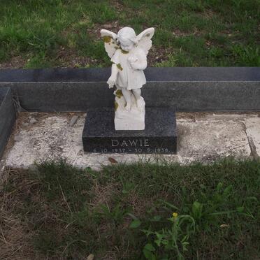 MERWE Dawie, van der 1937-1938