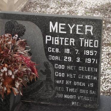 MEYER Pieter Theo 1957-1971