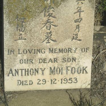 MOI FOOK Anthony -1953