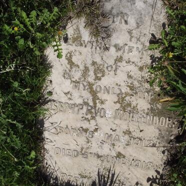 MOLLENDORF Joseph P., von 1912-1918