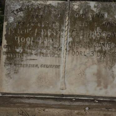 MOOLMAN Petrus Lavras 1856-1935, C.E. 1859-1940