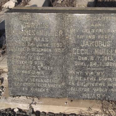 MULLER Johannes 1890-1952 :: MULLER Jacobus Cecil 1913-1968