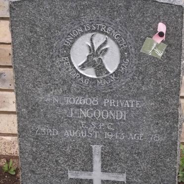 NGQONDI J. -1943
