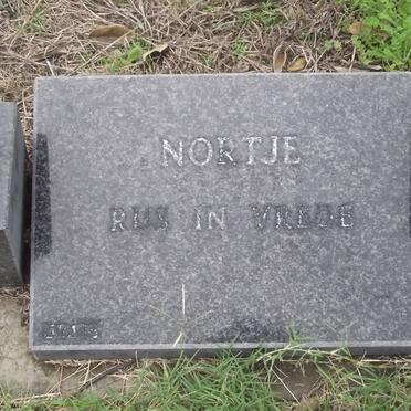 NORTJE