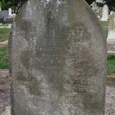 PALMER Charles -1893 :: WALLIS Joseph Hawkins -1917