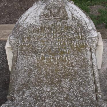 PLUMRIDGE Annie Violetta Gertrude nee LASSERE -1904