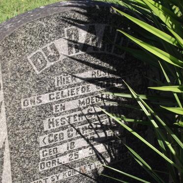 RAND Hester S.J.H., du nee CARSTENS 1915-1953