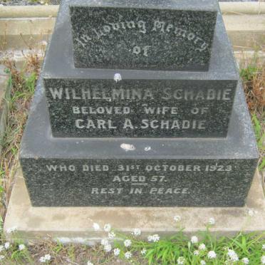 SCHADIE :: SCHARDIE